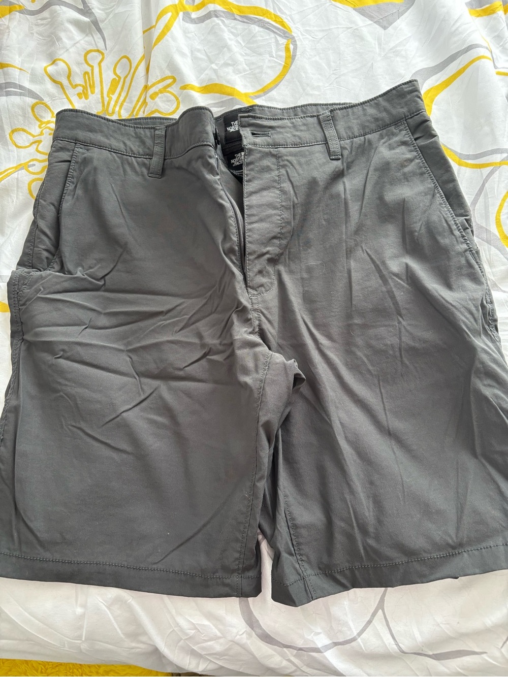 The North Face Men's Gray Flat-Front Shorts